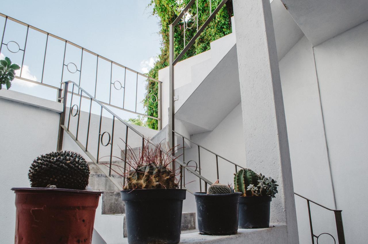 Casa Mariel Hotel San Luis Potosi Bagian luar foto